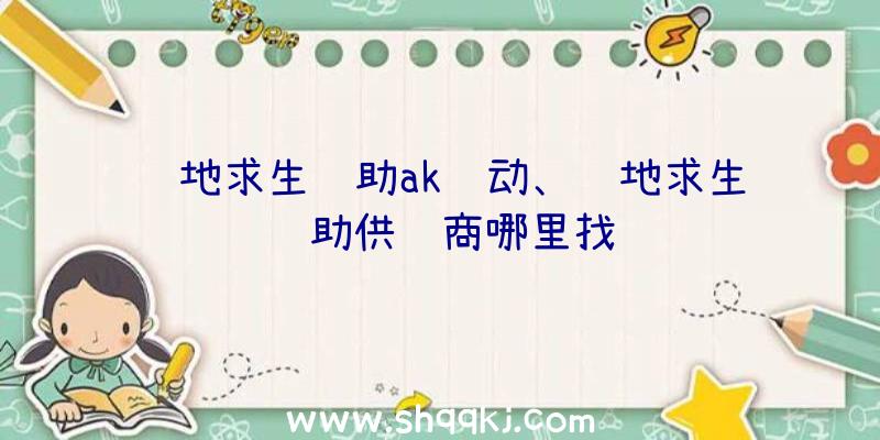 绝地求生辅助ak驱动、绝地求生辅助供货商哪里找