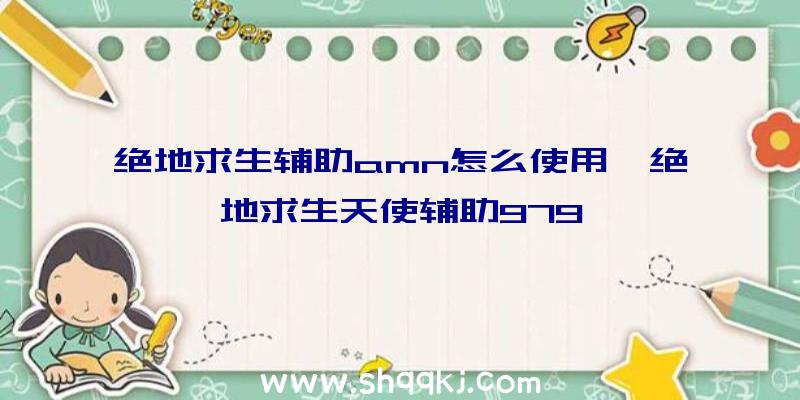 绝地求生辅助amn怎么使用、绝地求生天使辅助979