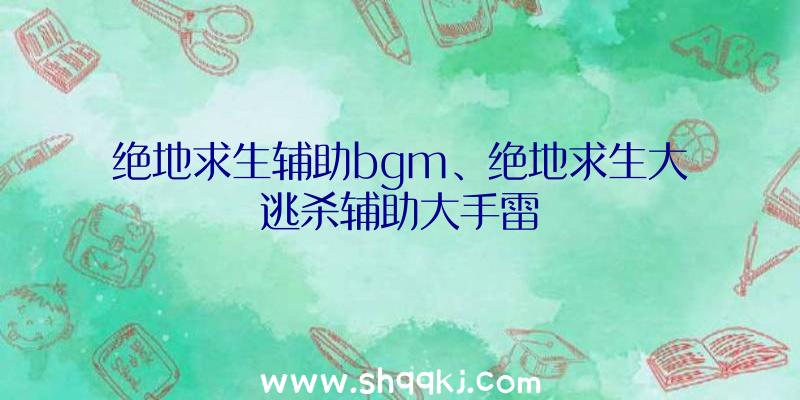 绝地求生辅助bgm、绝地求生大逃杀辅助大手雷