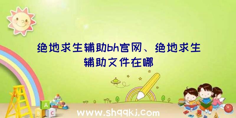 绝地求生辅助bh官网、绝地求生辅助文件在哪