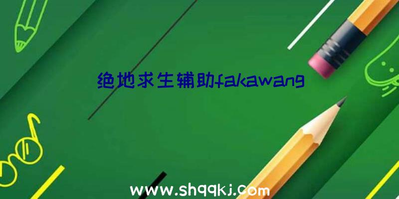 绝地求生辅助fakawang