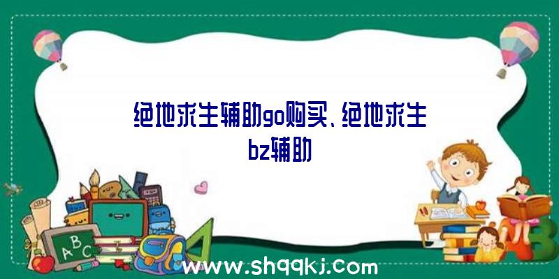 绝地求生辅助go购买、绝地求生bz辅助