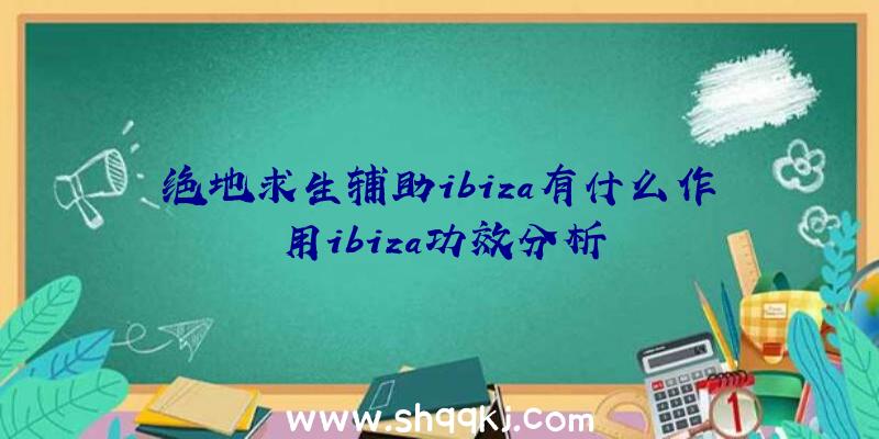 绝地求生辅助ibiza有什么作用ibiza功效分析