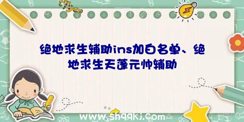 绝地求生辅助ins加白名单、绝地求生天蓬元帅辅助