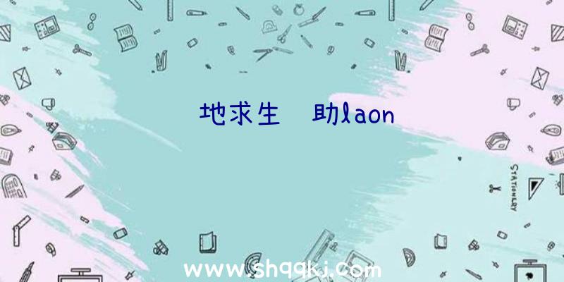 绝地求生辅助laon