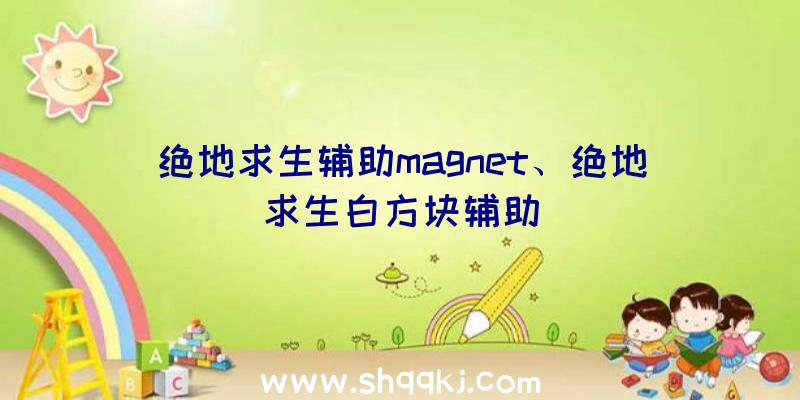 绝地求生辅助magnet、绝地求生白方块辅助