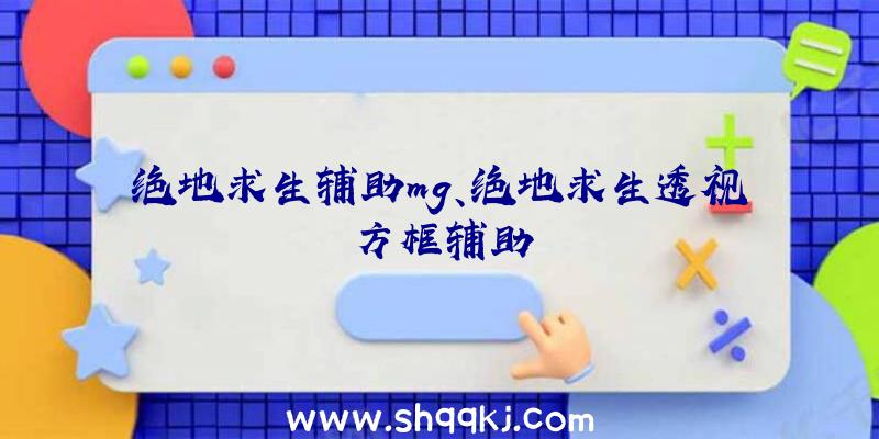 绝地求生辅助mg、绝地求生透视方框辅助