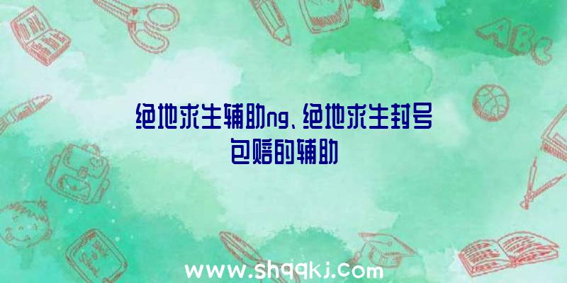 绝地求生辅助ng、绝地求生封号包赔的辅助