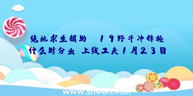 绝地求生辅助pp19野牛冲锋枪什么时分出-上线工夫1月23日