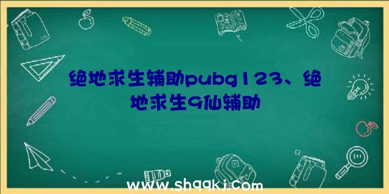 绝地求生辅助pubg123、绝地求生9仙辅助