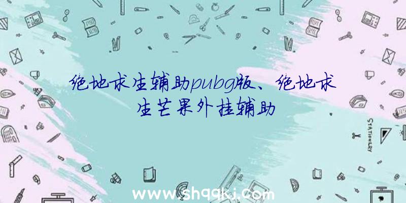 绝地求生辅助pubg版、绝地求生芒果外挂辅助