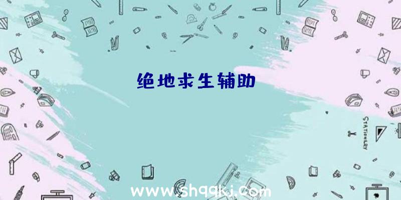 绝地求生辅助qa