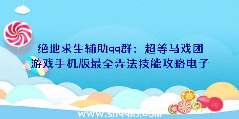 绝地求生辅助qq群：超等马戏团游戏手机版最全弄法技能攻略电子城玩家操作技能