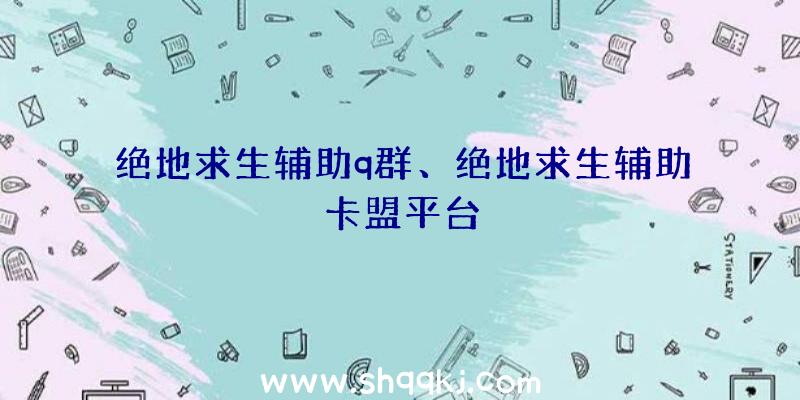 绝地求生辅助q群、绝地求生辅助卡盟平台