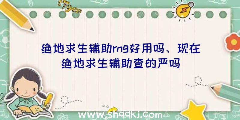 绝地求生辅助rng好用吗、现在绝地求生辅助查的严吗