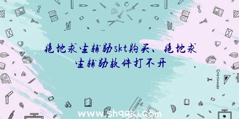 绝地求生辅助skt购买、绝地求生辅助软件打不开