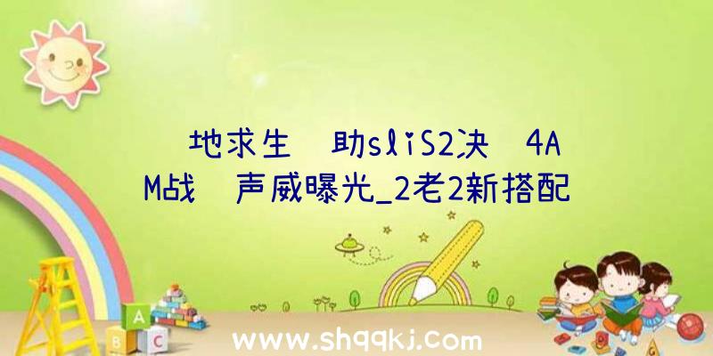 绝地求生辅助sliS2决赛4AM战队声威曝光_2老2新搭配