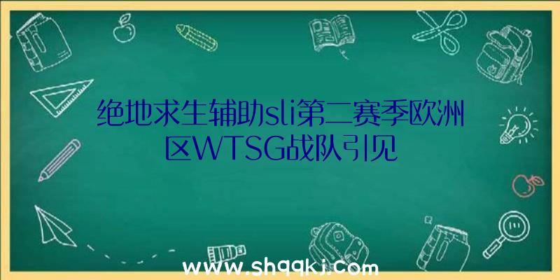 绝地求生辅助sli第二赛季欧洲区WTSG战队引见