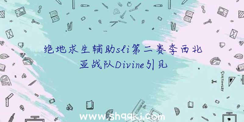 绝地求生辅助sli第二赛季西北亚战队Divine引见