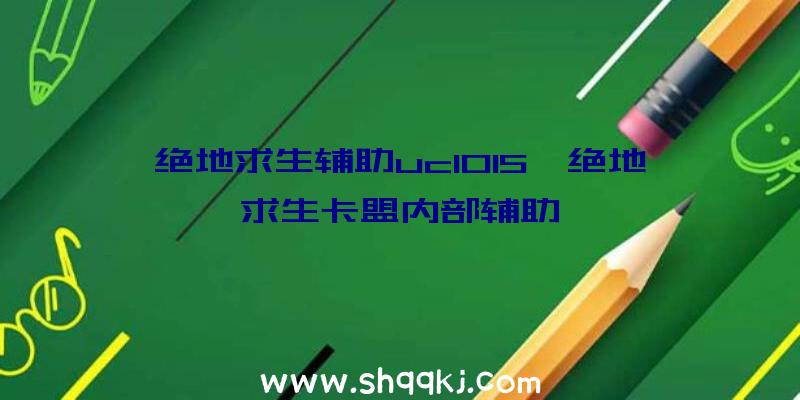 绝地求生辅助uc1015、绝地求生卡盟内部辅助