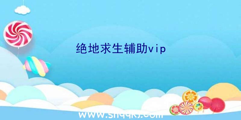 绝地求生辅助vip