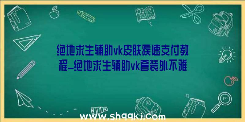 绝地求生辅助vk皮肤疾速支付教程_绝地求生辅助vk套装外不雅一览