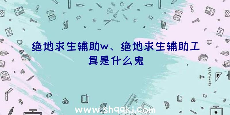 绝地求生辅助w、绝地求生辅助工具是什么鬼