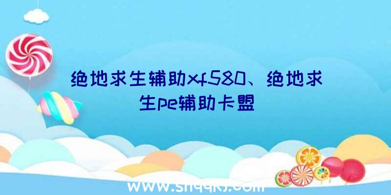 绝地求生辅助xf580、绝地求生pe辅助卡盟