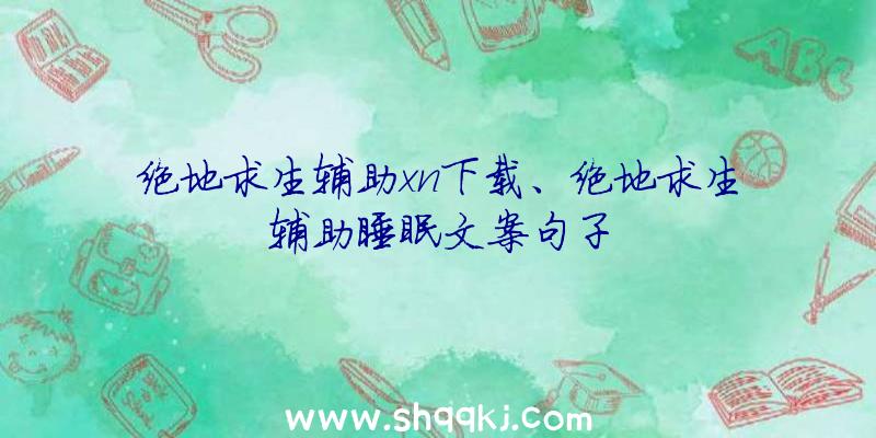 绝地求生辅助xn下载、绝地求生辅助睡眠文案句子