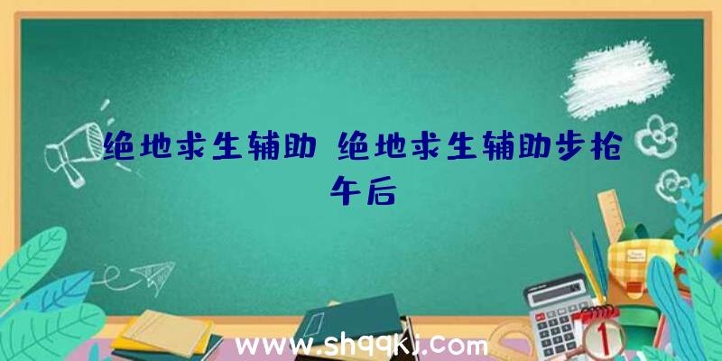 绝地求生辅助、绝地求生辅助步枪午后