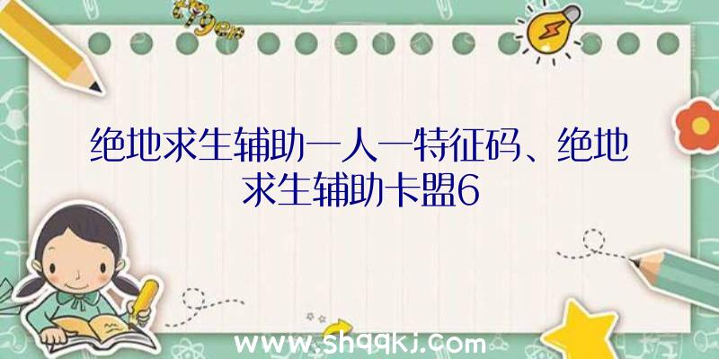 绝地求生辅助一人一特征码、绝地求生辅助卡盟6