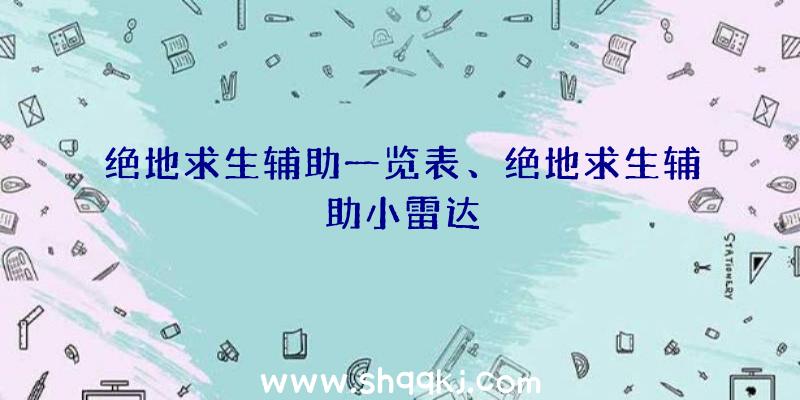 绝地求生辅助一览表、绝地求生辅助小雷达