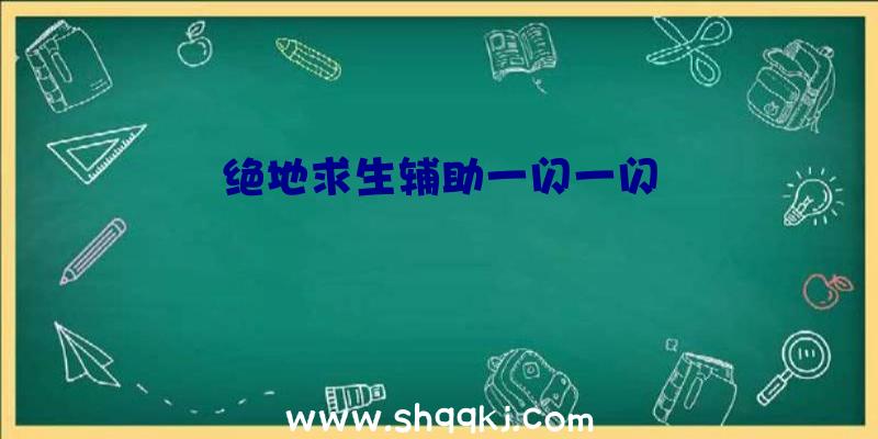 绝地求生辅助一闪一闪