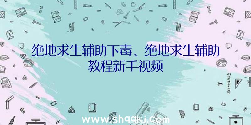 绝地求生辅助下毒、绝地求生辅助教程新手视频