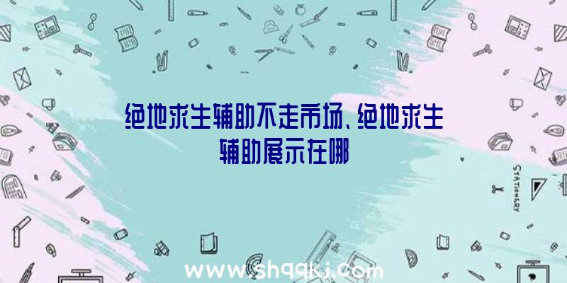 绝地求生辅助不走市场、绝地求生辅助展示在哪