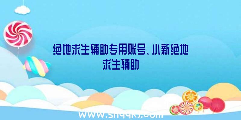 绝地求生辅助专用账号、小新绝地求生辅助