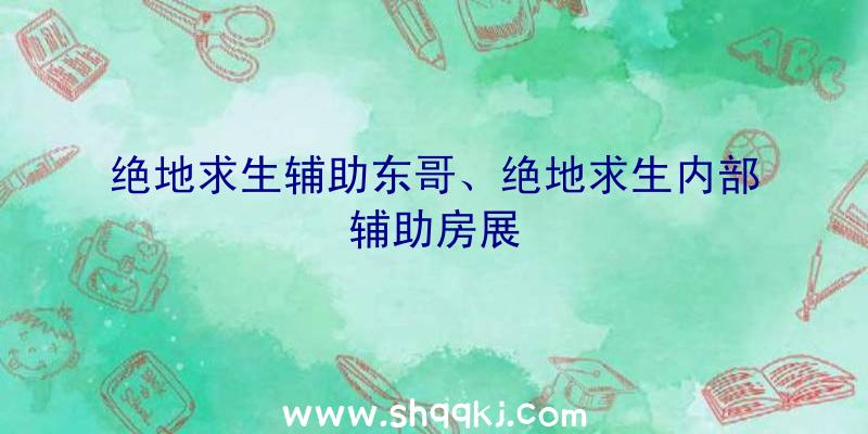 绝地求生辅助东哥、绝地求生内部辅助房展