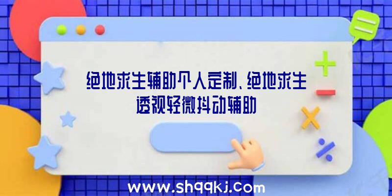 绝地求生辅助个人定制、绝地求生透视轻微抖动辅助