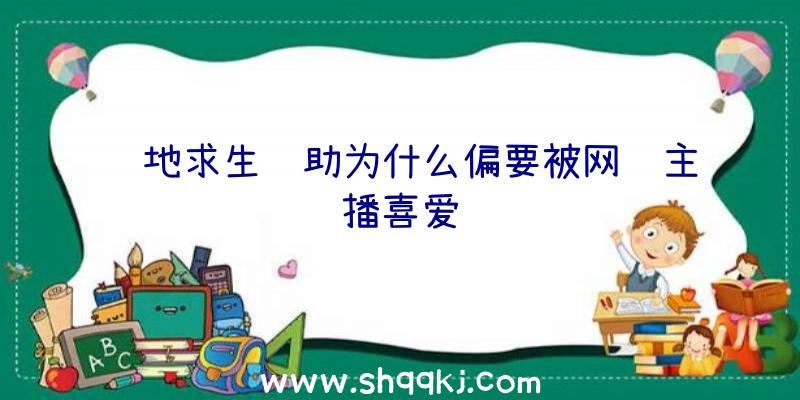 绝地求生辅助为什么偏要被网络主播喜爱