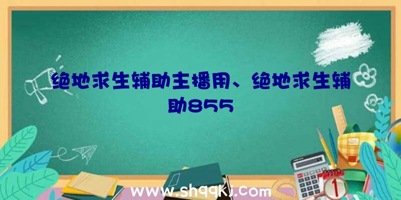 绝地求生辅助主播用、绝地求生辅助855