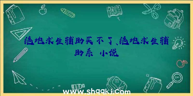 绝地求生辅助买不了、绝地求生辅助系統小说