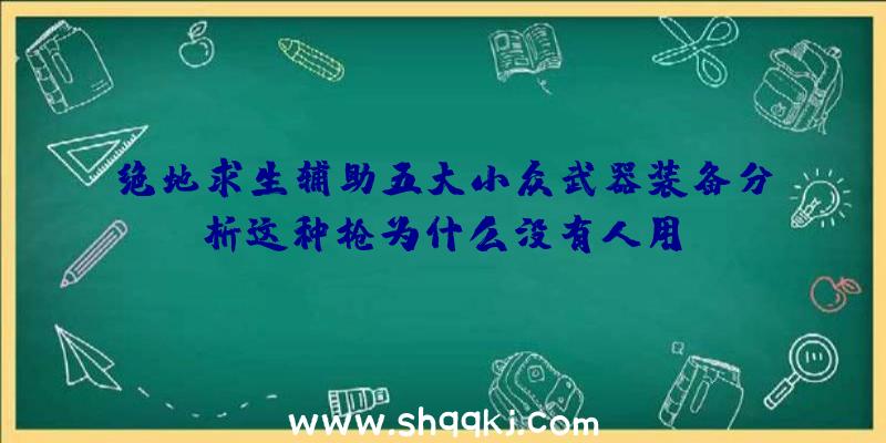 绝地求生辅助五大小众武器装备分析这种枪为什么没有人用？