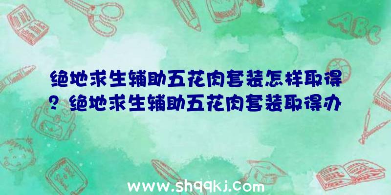 绝地求生辅助五花肉套装怎样取得？绝地求生辅助五花肉套装取得办法引见