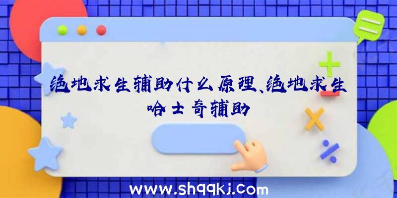 绝地求生辅助什么原理、绝地求生哈士奇辅助