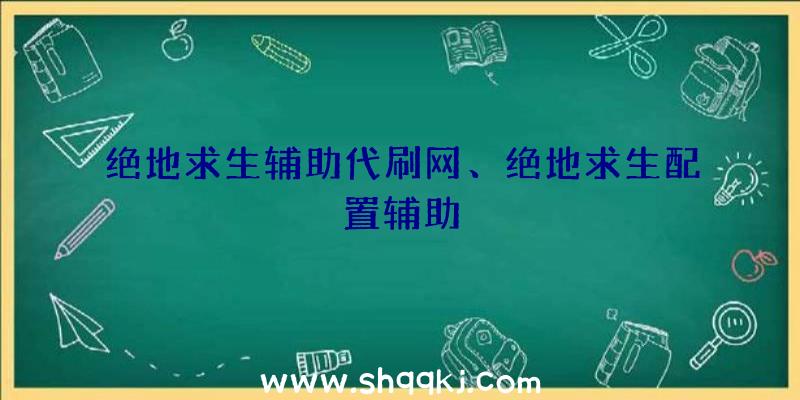 绝地求生辅助代刷网、绝地求生配置辅助