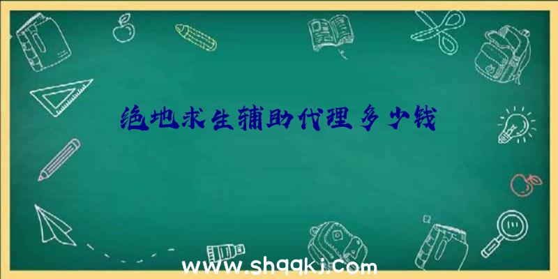 绝地求生辅助代理多少钱