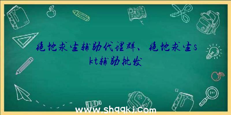 绝地求生辅助代理群、绝地求生skt辅助批发