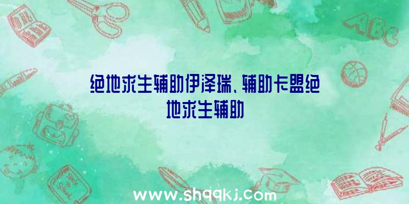 绝地求生辅助伊泽瑞、辅助卡盟绝地求生辅助