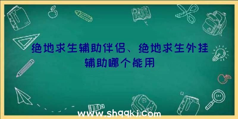 绝地求生辅助伴侣、绝地求生外挂辅助哪个能用