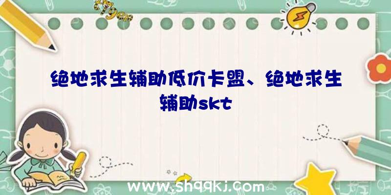 绝地求生辅助低价卡盟、绝地求生辅助skt